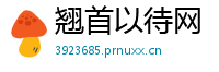 翘首以待网